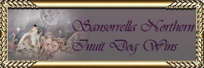 northern inuit dog banner