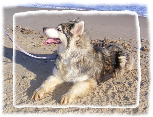 sky on skegness beach 10 yrs 4 months